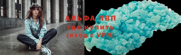 спиды Богданович