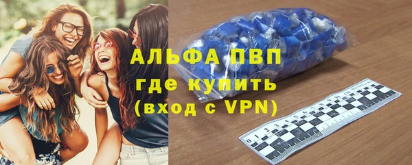 спиды Богданович