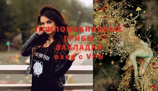 бошки Богородицк
