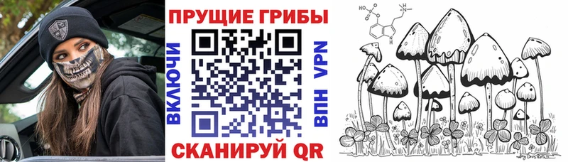 Галлюциногенные грибы GOLDEN TEACHER  Самара 